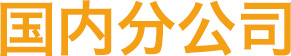 国内分公司