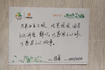 此次马来西亚文化之旅，中脉为400多家人每人准备了一张分享卡，旅游结束后，分享卡上写满了家人的感恩、感谢和感激，这是一次充满开心、欢乐、尊崇和荣耀的旅行，同时也是中脉实力的见证，更让家人们看到了中脉深厚的文化内涵和榜样的力量。中脉2012马来西亚文化之旅圆满成功，家人们对中脉更加有了信心，中脉的凝聚力空前高涨。