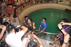 11月26日，“2010中脉普吉旅游奖励活动”在满载的欢笑中画上了圆满的句号。五天三夜的尊荣之旅，让中脉优秀经销商满满的感受了泰国普吉岛的人文风情，丰富了自己的人生体验，更增添了对中脉直销事业的热爱。许多参游的家人都激动而又不无自豪的说：“公司这次组织的海外游让我们享受了最大的荣耀，感受到了最无微不至的关怀。冲击下年度的业绩目标我们很有信心。下