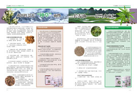 转眼间，2010年度已经接近尾声，在这最后的时间，各地的市场都已进入了业绩冲刺阶段。非常感谢广大家人对内刊的关注与厚爱，在持续关注中脉不断发展的过程中，我们也不忘丰富杂志内容，尽可能多地为家人呈现一些对市场推动有用的信息，以及对产品推广有帮助的内容，以支持大家在市场上的奋力拼搏。